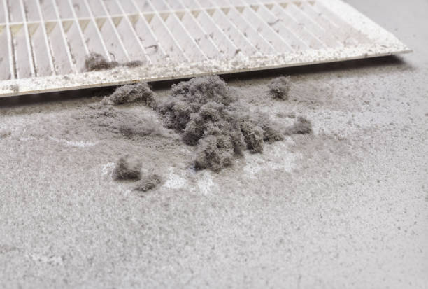 Best Home Air Vent Cleaning  in Berwick, PA