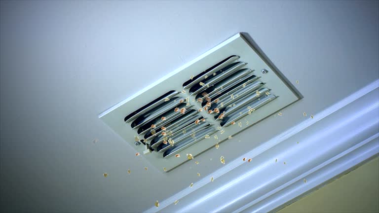 Best Ductwork Cleaning Services  in Berwick, PA